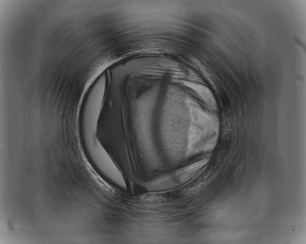 X0000097830795200804041420