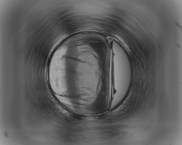 X0000097830796200804041420