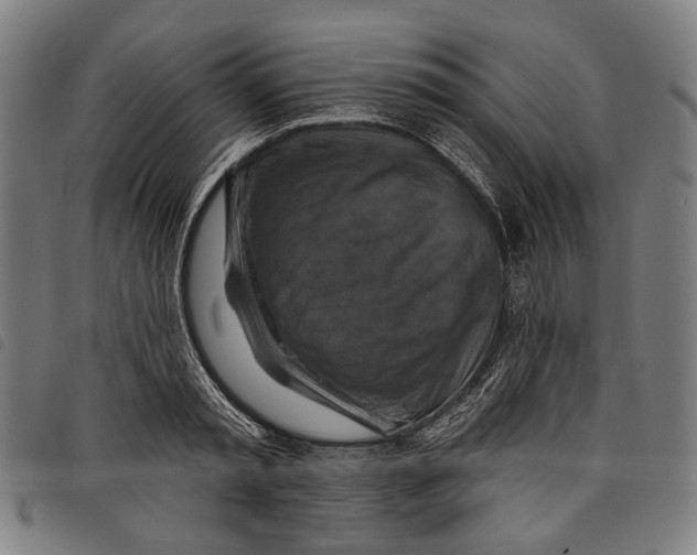 X0000097830797200804041420