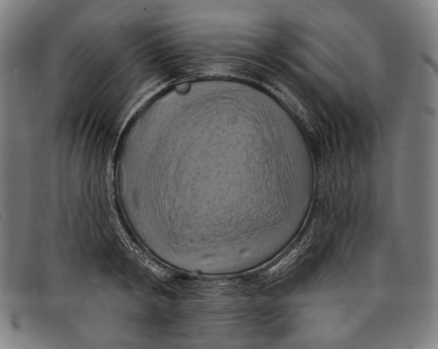 X0000097830798200804041420