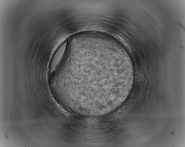 X0000097830799200804041420