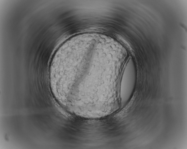 X0000097830800200804041420