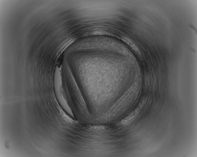 X0000097830801200804041420