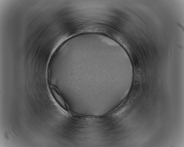 X0000097830803200804041420