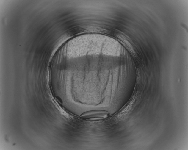 X0000097830804200804041420