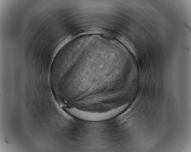 X0000097830805200804041420