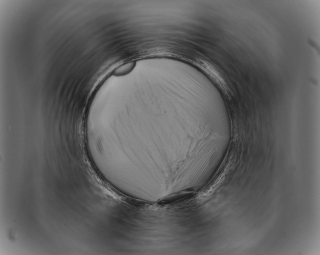 X0000097830806200804041420