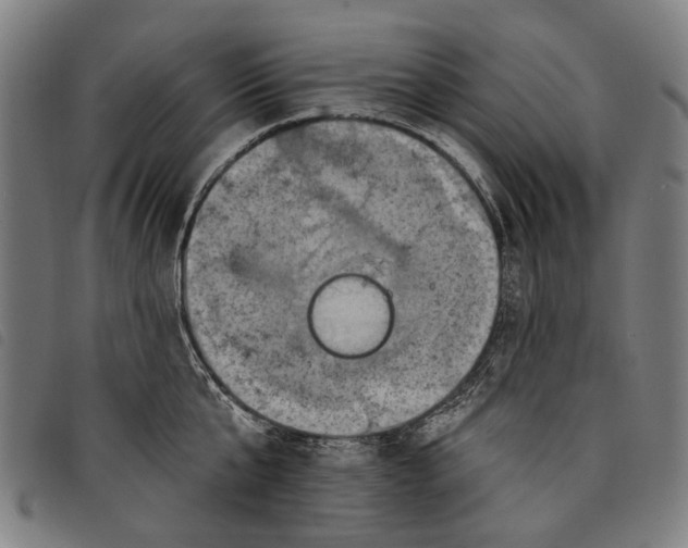 X0000097830807200804041420