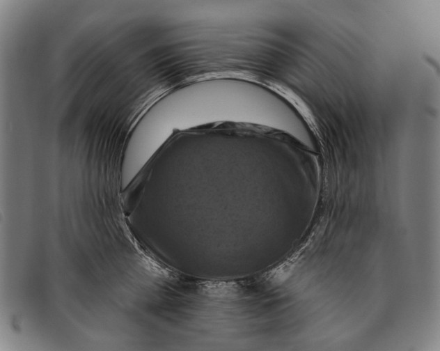 X0000097830809200804041420