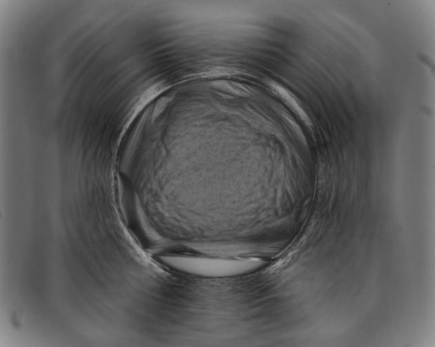 X0000097830810200804041420