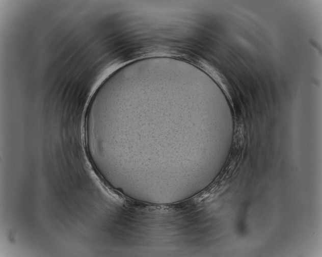 X0000097830811200804041420