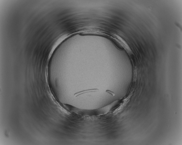 X0000097830812200804041420