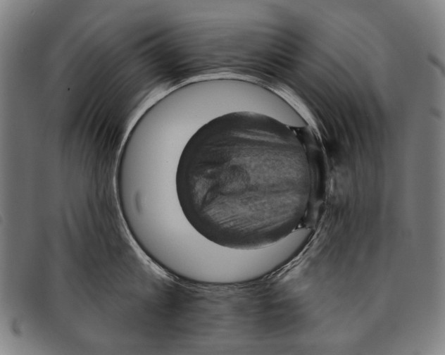 X0000097830813200804041420