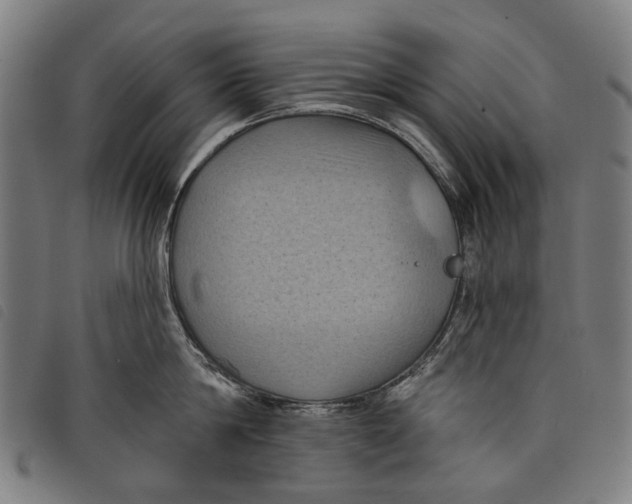 X0000097830814200804041420