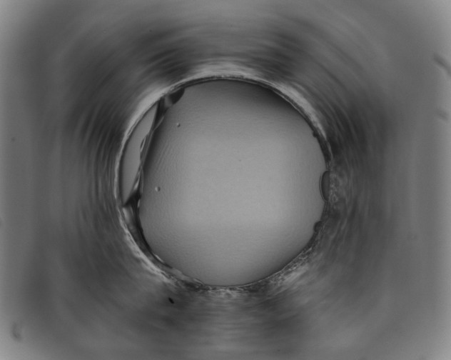 X0000097830815200804041420