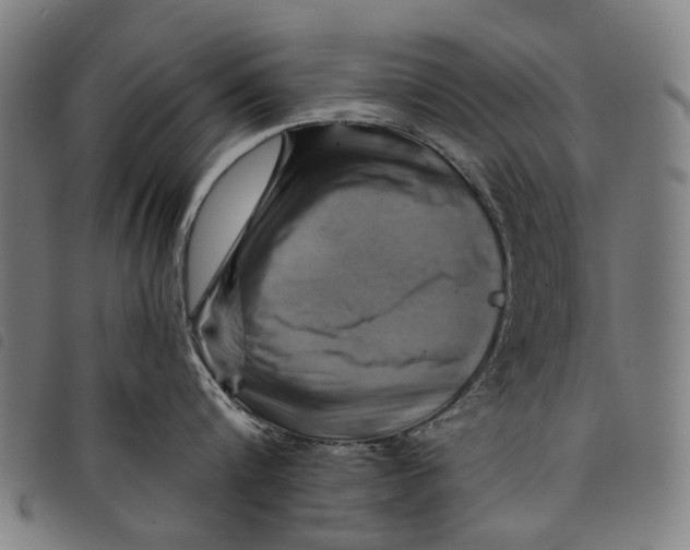 X0000097830816200804041420