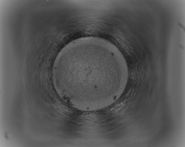 X0000097830817200804041419