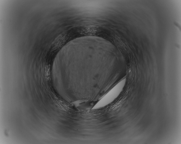 X0000097830818200804041419