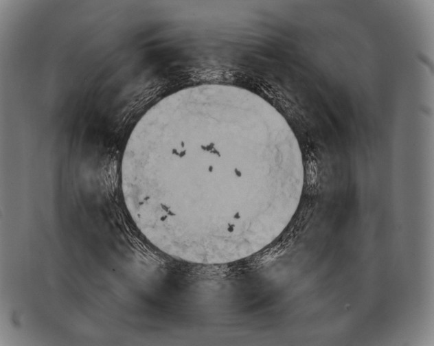 X0000097830820200804041419