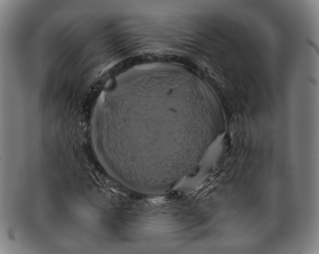 X0000097830822200804041419