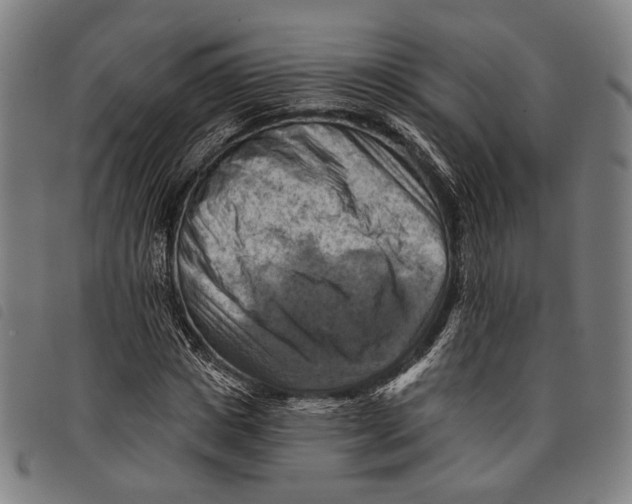 X0000097830825200804041419