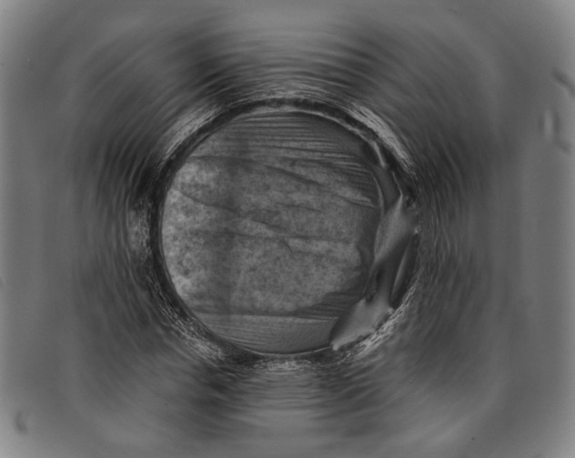 X0000097830826200804041419