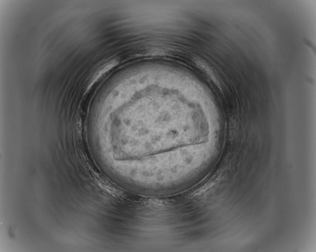 X0000097830827200804041419