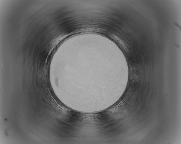 X0000097830828200804041419