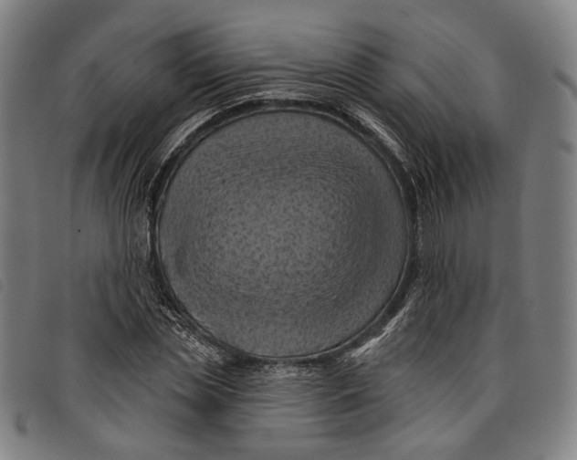 X0000097830829200804041419