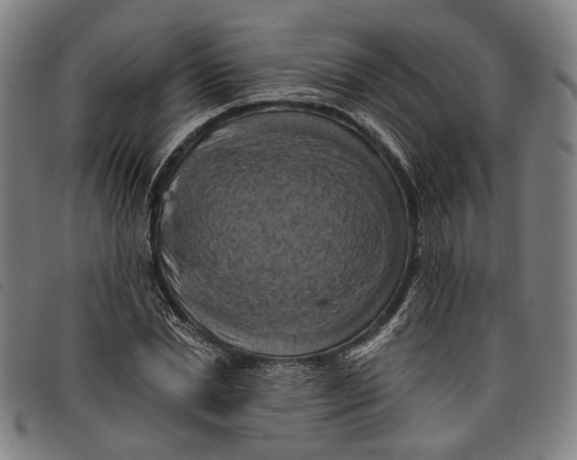 X0000097830830200804041419