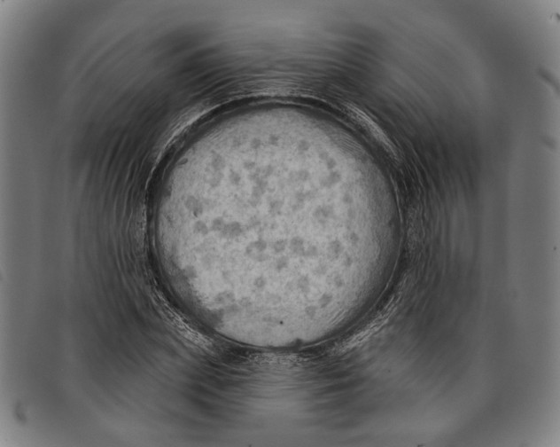 X0000097830831200804041419