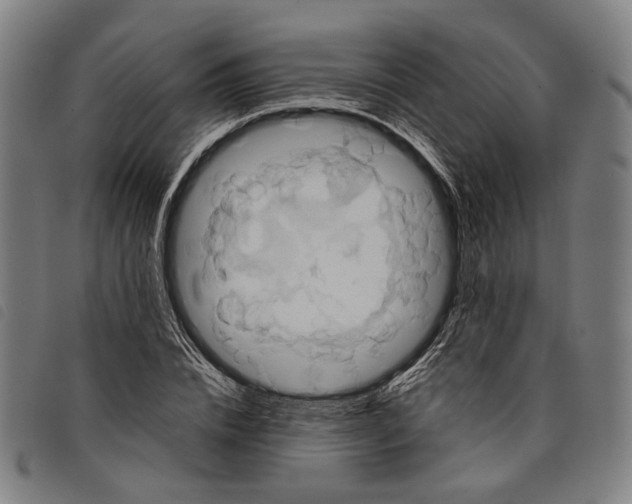 X0000097830832200804041419