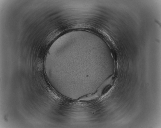 X0000097830833200804041419