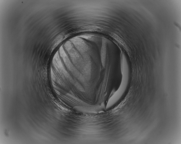 X0000097830834200804041419