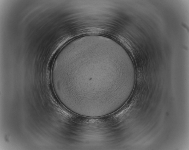 X0000097830835200804041419