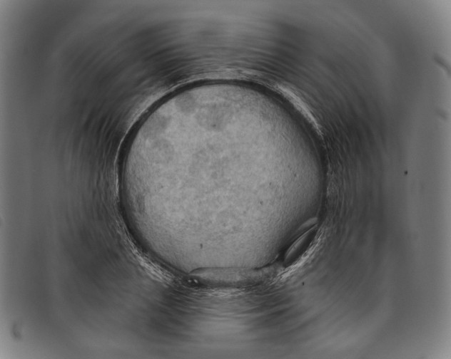 X0000097830837200804041419