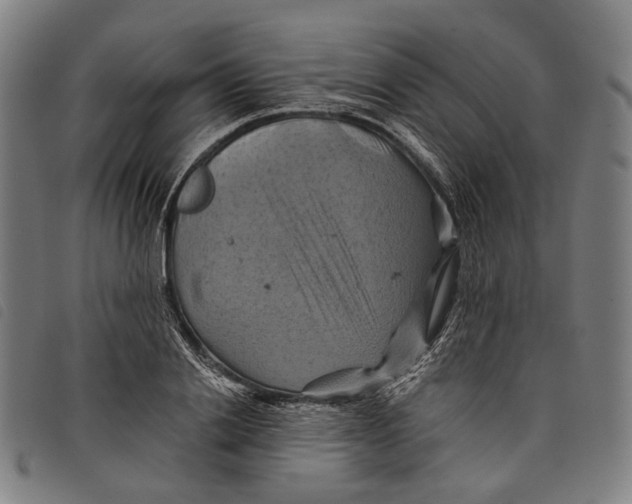 X0000097830838200804041419