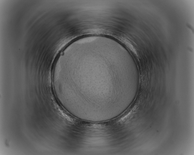 X0000097830839200804041419