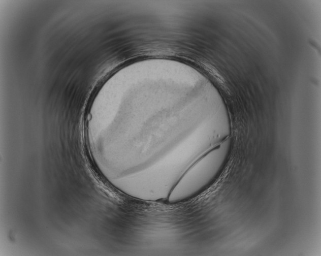 X0000097830840200804041419