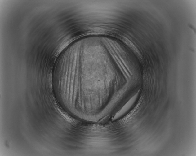 X0000097830842200804041419