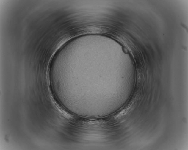 X0000097830843200804041419