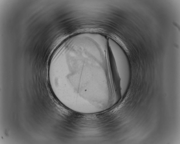 X0000097830844200804041419