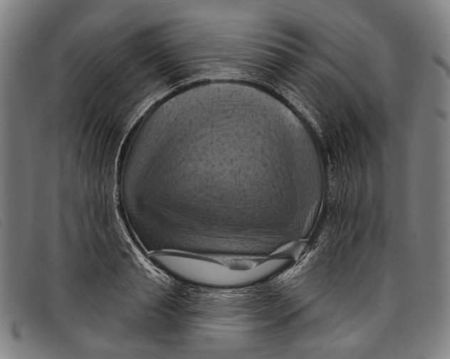 X0000097830845200804041419