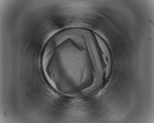 X0000097830846200804041419