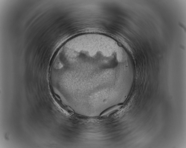 X0000097830847200804041419