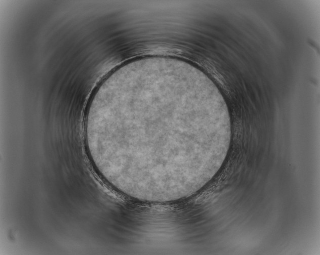 X0000097830848200804041419