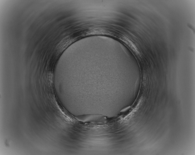 X0000097830849200804041419