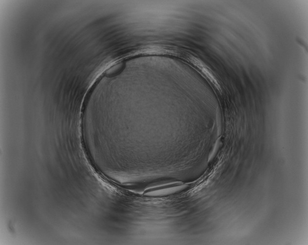 X0000097830853200804041419