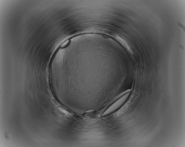 X0000097830854200804041420