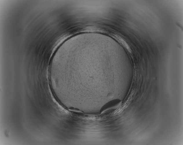 X0000097830855200804041420